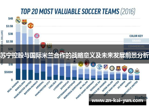 苏宁控股与国际米兰合作的战略意义及未来发展前景分析 苏宁控股与国际米兰合作的战略意义及未来发展前景分析